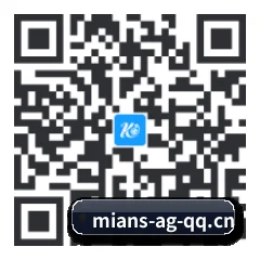 系统版 iOS 二维码